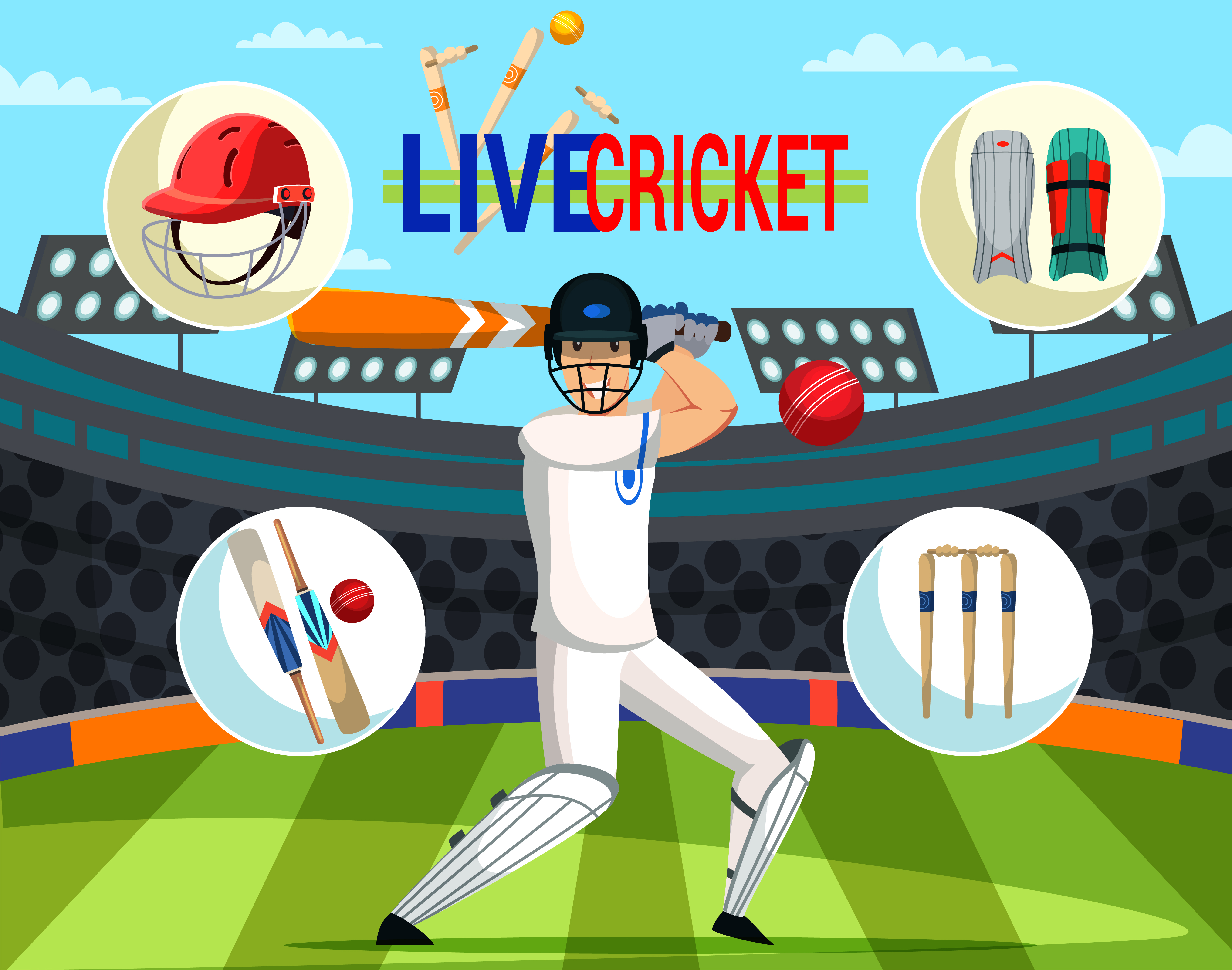 IPL cricket fans enjoying a match